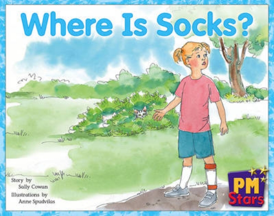 Picture of Where Is Socks?