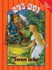 Picture of Swan Lake