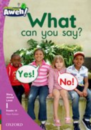 Picture of What can you say?