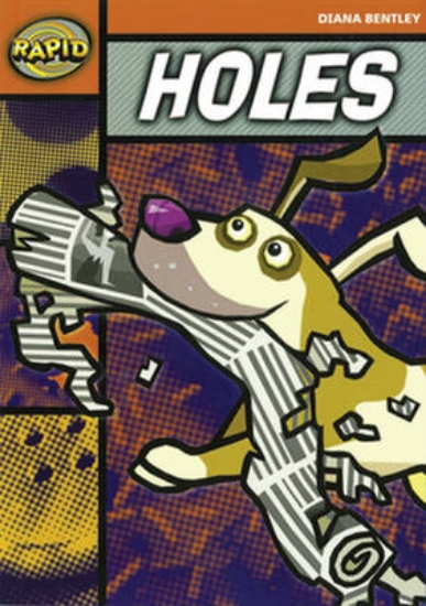 Picture of Rapid Starter Level Reader Pack: Holes Pack of 3