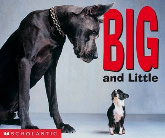 Picture of Big and Little Board Book