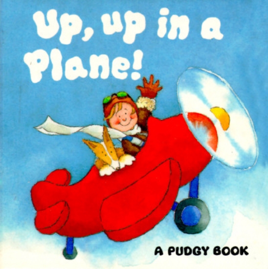 Picture of Up, Up in a Plane!