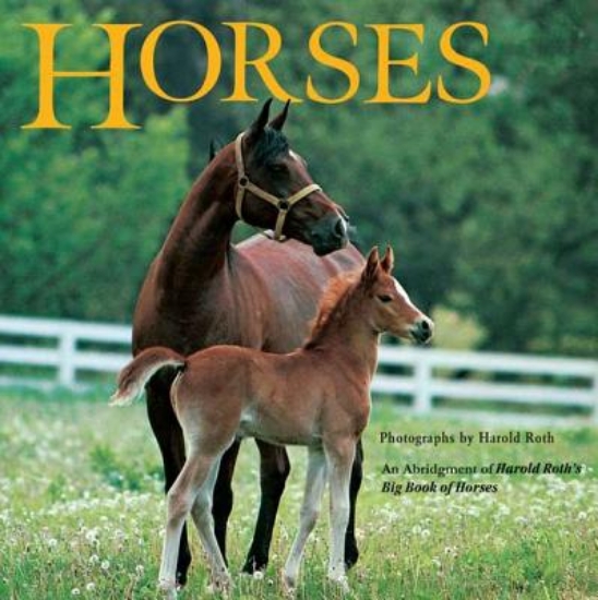 Picture of Horses