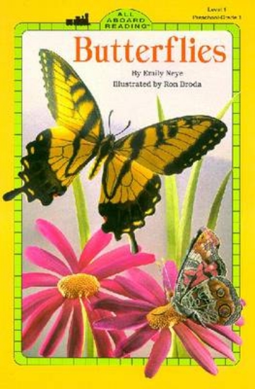Picture of Butterflies