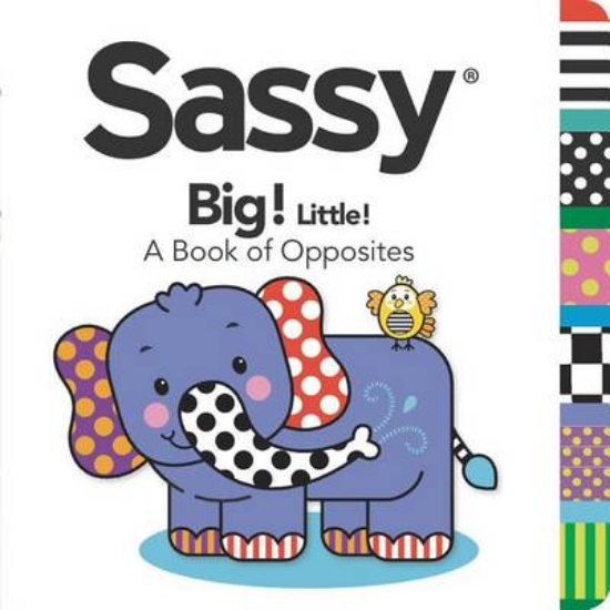 Picture of Sassy Big! Little!
