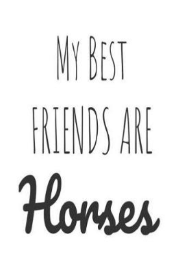 Picture of My Best Friends Are Horses
