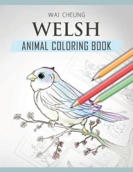 Picture of Welsh Animal Coloring Book