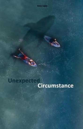 Picture of Unexpected Circumstance