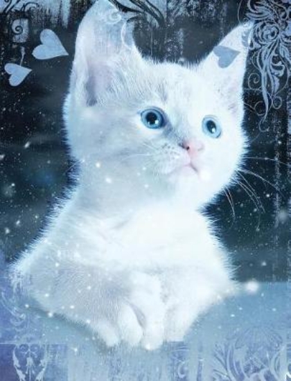 Picture of White Snow Blue Eye Cat Composition Notebook, Grap