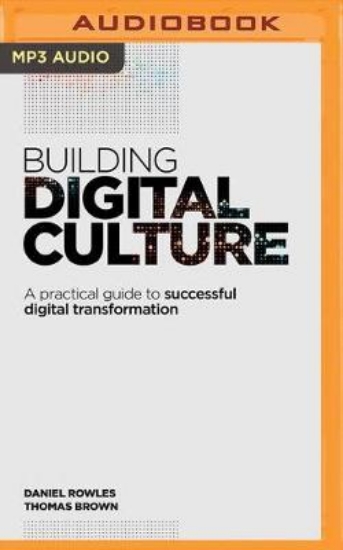 Picture of Building Digital Culture