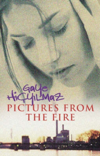 Picture of Pictures from the Fire