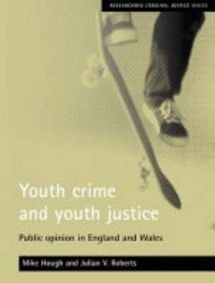 Picture of Youth crime and youth justice