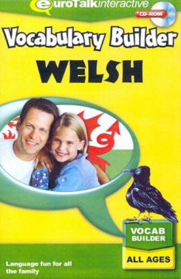 Picture of Vocabulary Builder - Welsh