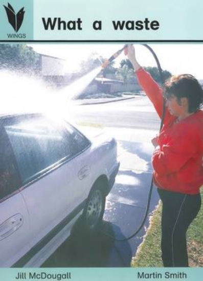 Picture of What a Waste