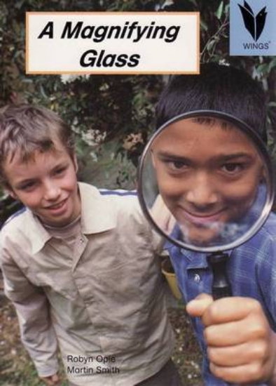 Picture of A Magnifying Glass