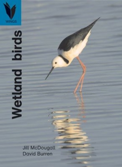 Picture of Wetland Birds: Level 17