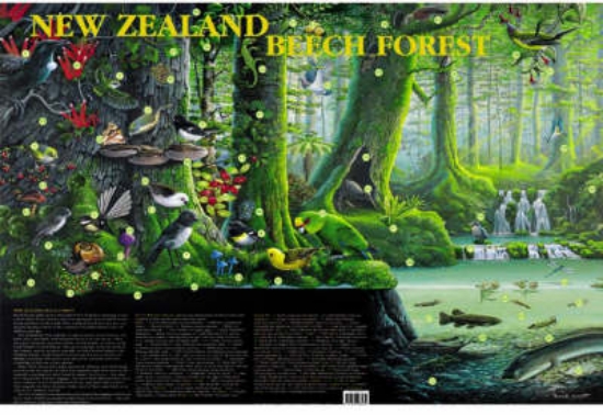 Picture of Te Ngahere Tawai o Aotearoa (NZ Beech Forest)
