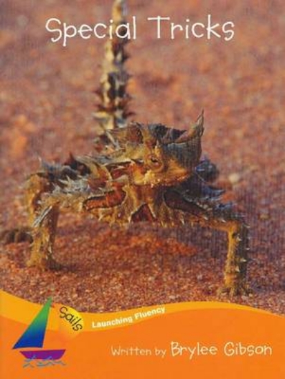 Picture of Sails Additional Fluency - Orange