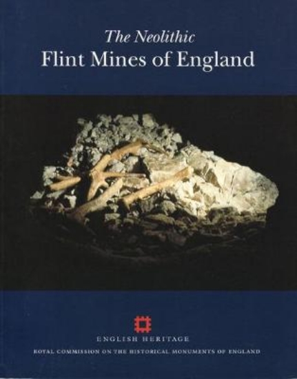 Picture of The Neolithic Flint Mines of England