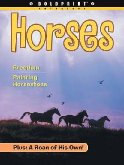 Picture of Horses