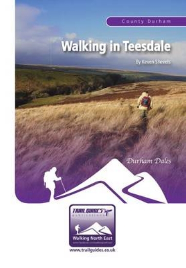 Picture of Walking in Teesdale