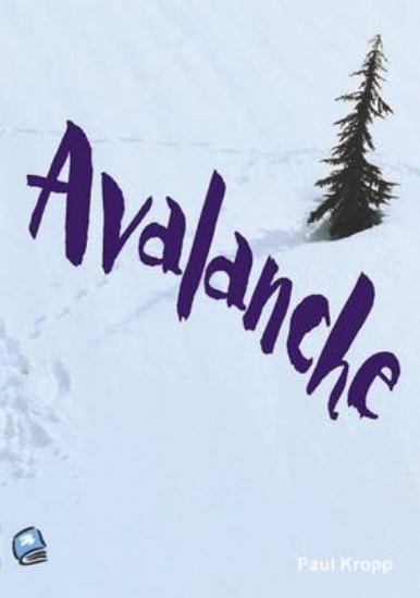 Picture of Avalanche