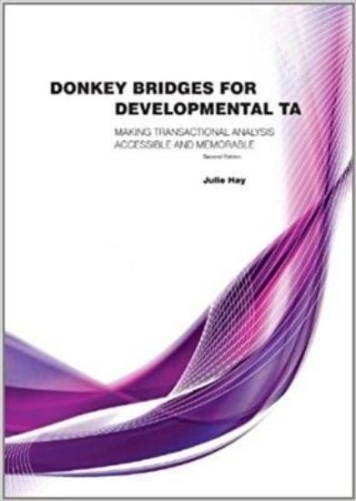 Picture of Donkey Bridges for Development TA