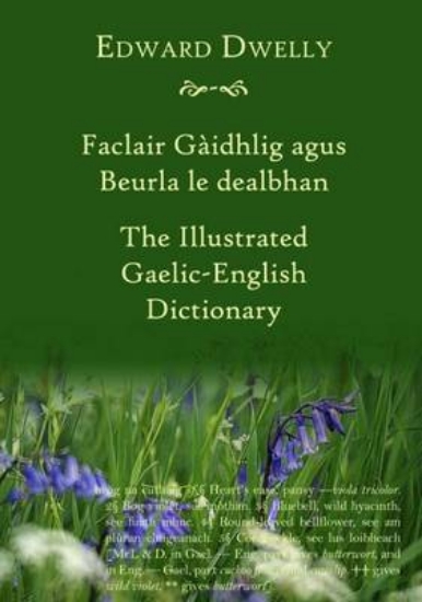 Picture of The Illustrated Gaelic - English Dictionary