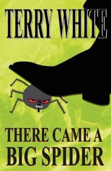 Picture of There Came a Big Spider