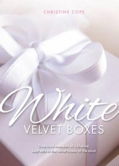 Picture of White Velvet Boxes