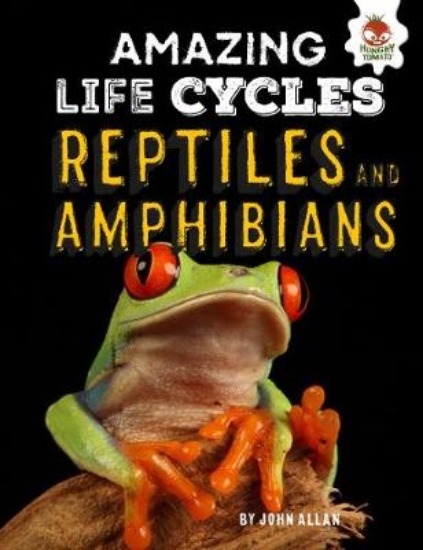 Picture of Reptiles and Amphibians - Amazing Life Cycles