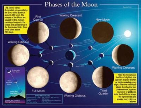 Picture of Phases of the Moon Chart