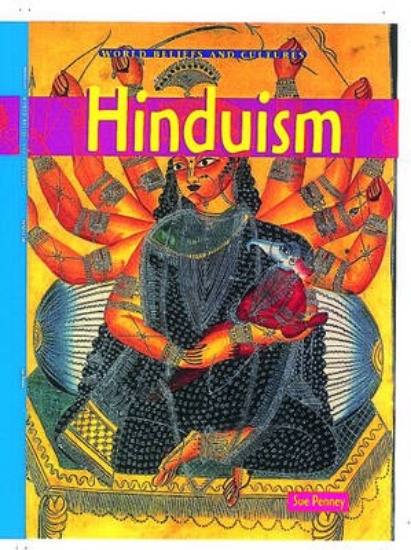 Picture of World Beliefs: Hinduism Paperback