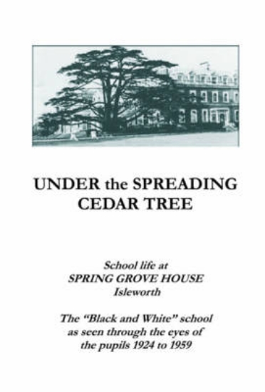Picture of Under the Spreading Cedar Tree