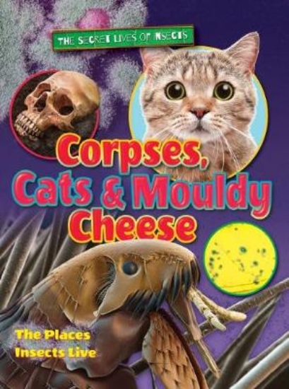 Picture of Corpses, Cats and Mouldy Cheese 2018