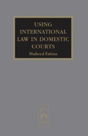 Picture of Using International Law in Domestic Courts