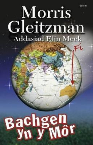 Picture of Bachgen yn y Mor