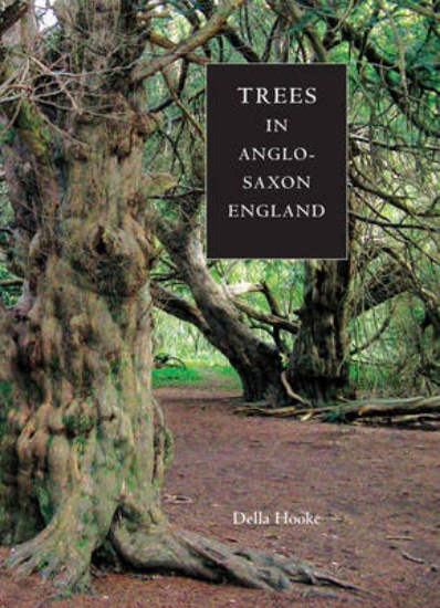 Picture of Trees in Anglo-Saxon England - Literature, Lore an