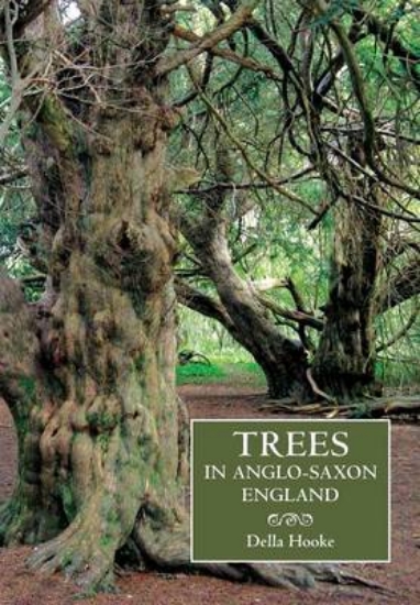 Picture of Trees in Anglo-Saxon England - Literature, Lore an