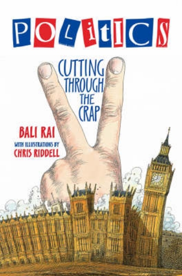 Picture of Politics - Cutting Through the Crap