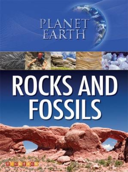 Picture of Planet Earth: Rocks and Fossils