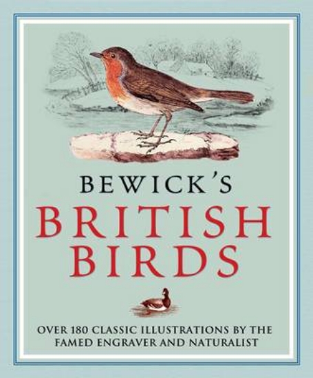 Picture of Bewick's British Birds