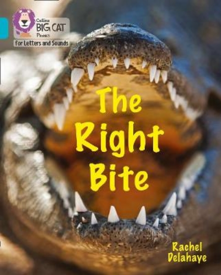 Picture of The Right Bite
