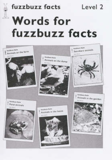 Picture of Fuzzbuzz: Facts Level 2