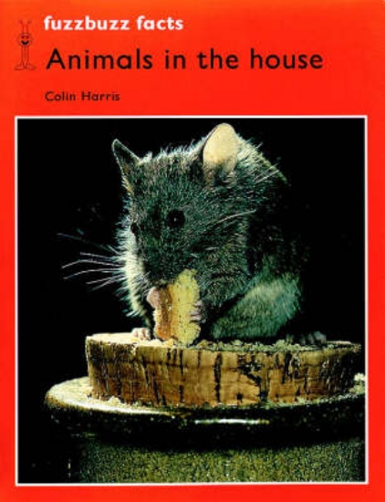 Picture of Fuzzbuzz: Facts Level 2