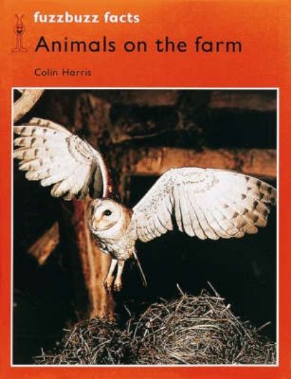 Picture of Fuzzbuzz: Facts Level 2