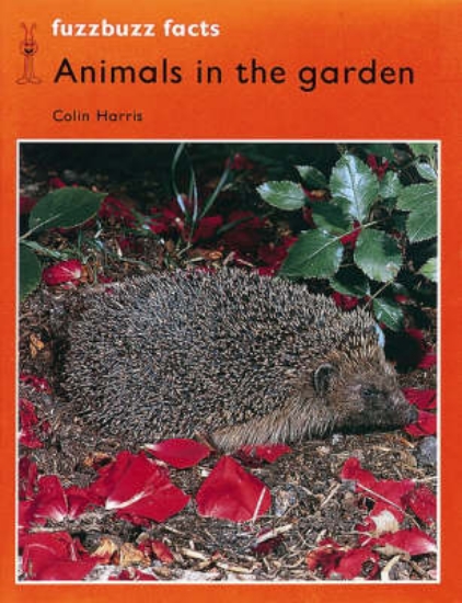 Picture of Fuzzbuzz: Facts Level 2