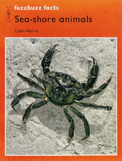 Picture of Fuzzbuzz: Facts Level 2