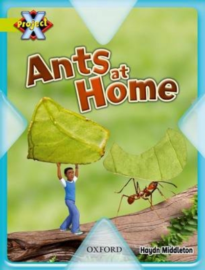 Picture of Project X: Underground: Ants at Home
