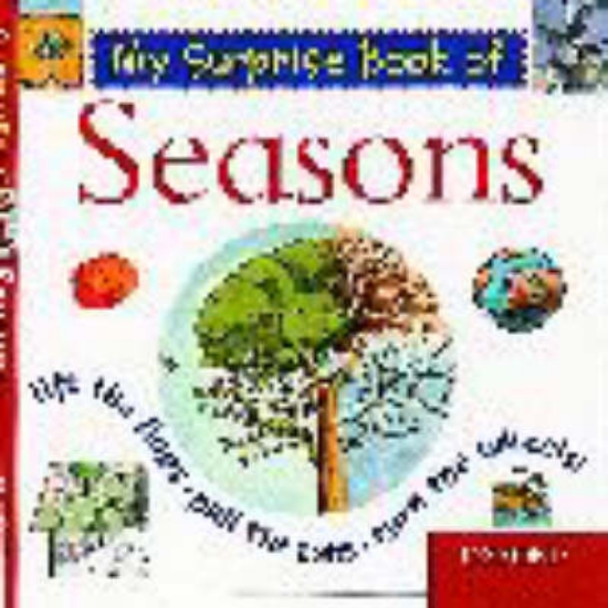 Picture of My Surprise Book of Seasons